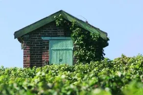 La Loge de Vigne - Image 2