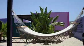 The Hotelito - Image 5