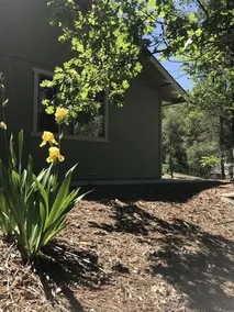 Yosemite Inn at Pine Mountain Lake - Image 2