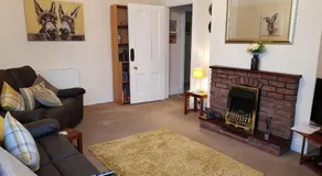 Spacious & Cozy Mid Wales Town Centre Apartment, With Bike Storage - Image 5