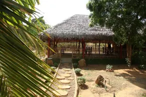 Yala Tree House Safari - Image 4