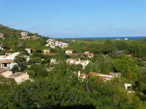 Verde - Image 4