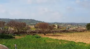 Auberge de Provence - Image 5
