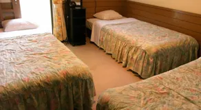 Pension Akanegumo - Image 2