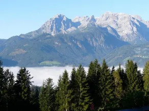 Ferienhotel Samerhof - Image 3
