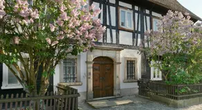 Goldberghaus - Image 2