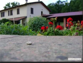 Agriturismo Santa Lorica - Image 2