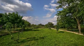 Ankin Dvor - Image 2
