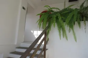 Hotel D´Itália - Image 3
