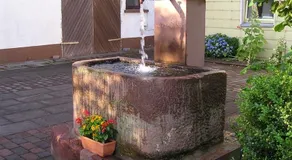 Hotel-Pension Am Wäldchenborn - Image 5