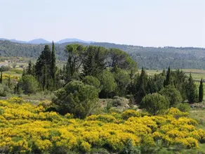Les Romarins - Image 3
