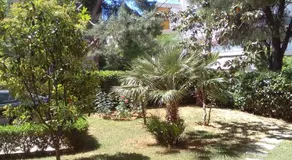 Halandri Business Ready Apartment - Image 4