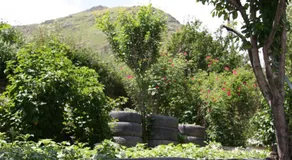 Guest House Sabauri - Image 4