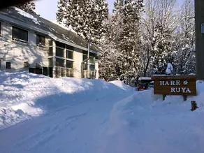 Hareruya - Image 4
