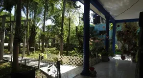 Hotel Las Palapas De Punta Allen - Image 2