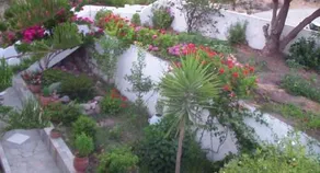 Creta Vassakis Studios - Image 5