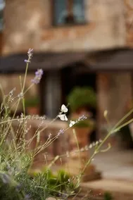 Finca Can Vich - Image 3