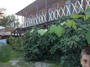 Guest house Chaika Pitsunda - Image 2