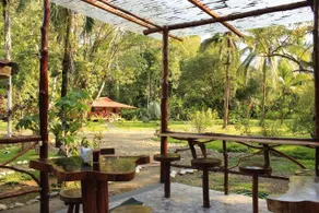 Sabalo Lodge - Image 5