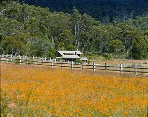 Pender Lea Chalets - Image 2