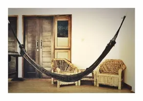 Green Banana - Image 3