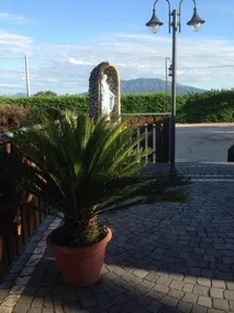 Agriturismo Al Platano - Image 2