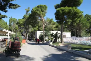Camping Club Taxo les Pins - Image 5