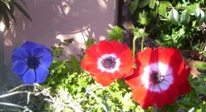 Albergo La Valle - Image 4