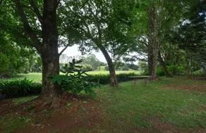 Bower 63 - Image 5