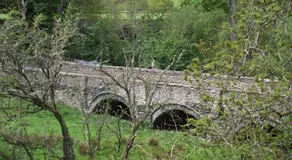 caravan nestled away amongst trees on edge of farm yard - Image 3
