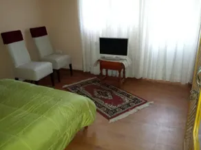 Pensiunea Valea Badilii - Image 4