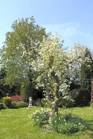 Elbahof - Image 2