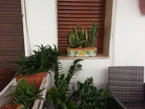 La Casa di Adriana - Image 4