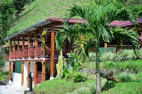 Finca La Pandereta - Image 2