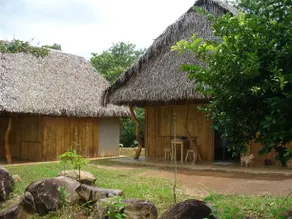 Centro Cultural Bribripa - Image 4