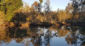 Januce - delightful river front house in Urunga - Image 5