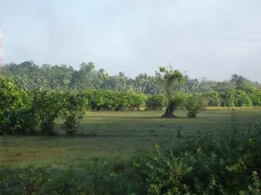 Gaily Green Hotel - Image 4