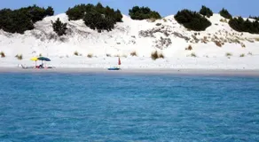 Surf House - Image 3