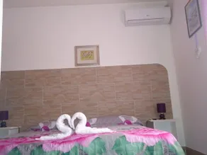 B&B Dania - Image 5