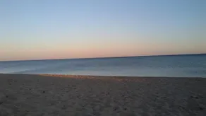 Stellasalentina - Image 4