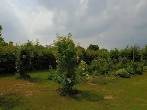Aganis - Image 3