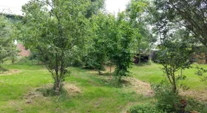 Fewo Bendig - Image 3