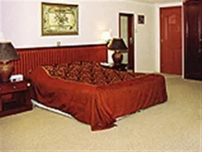 Gulf Pearl - Image 4
