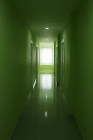 Greenest - Image 3