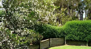 Bayside Villas - Image 3