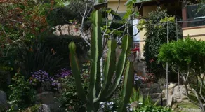 Antica Fonte 3 - Image 2
