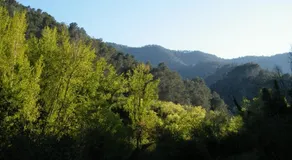 Casa La Chelva - Image 5