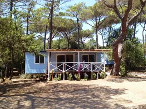 International Camping Village Etruria - Image 4