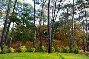 Villa in the forest of Seignosse 600m from the beach Great for large groups - Image 2