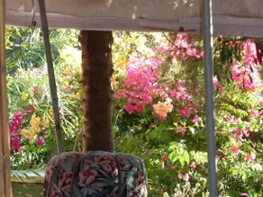 Gîte tazota - Image 4